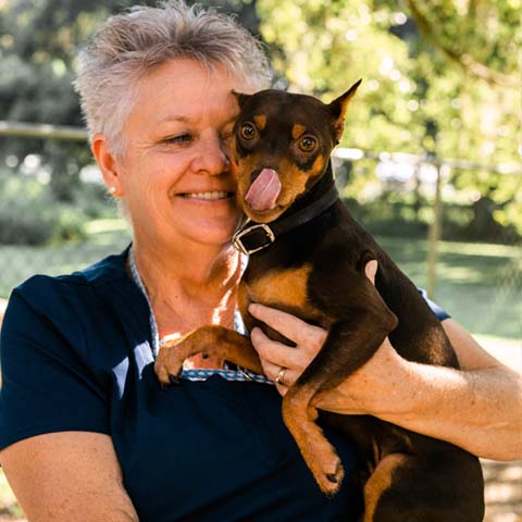 carol happy pets